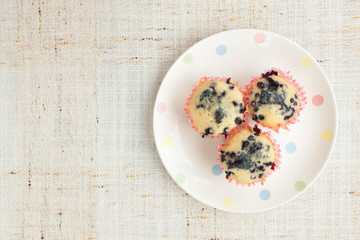 Homemade blueberry muffins in paper cupcake holder