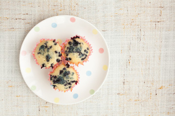 Homemade blueberry muffins in paper cupcake holder