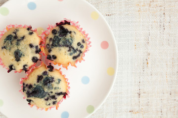 Homemade blueberry muffins in paper cupcake holder