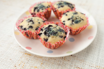 Homemade blueberry muffins in paper cupcake holder