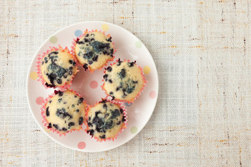 Homemade blueberry muffins in paper cupcake holder