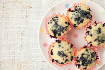 Homemade blueberry muffins in paper cupcake holder