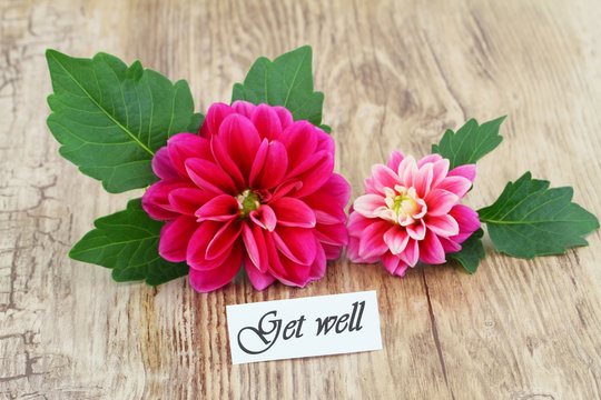 Get well card with pink dahlia flowers