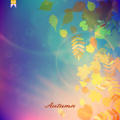 Autumn Colorful red and yellow leaves.