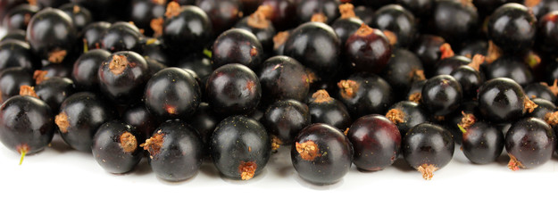 Black currant isolated on white