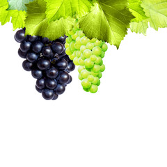 Fototapeta premium Freigestelltes Wein Motiv