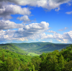 mountain summer landscape