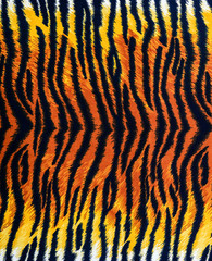 texture of tiger fabric stripes