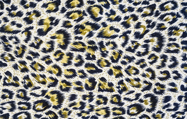 The texture of fabric stripes leopard