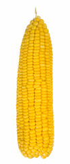 yellow corn