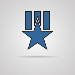 Medal - star with ribbon. Order vector