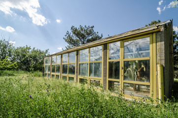 greenhouse
