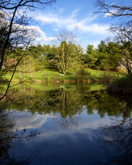 Mirror Pond