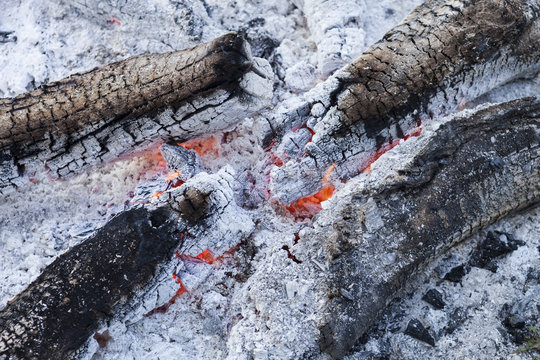 verbranntes Holz 