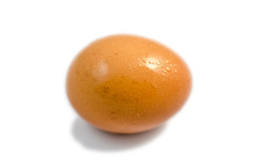 a wet egg on white background isolated