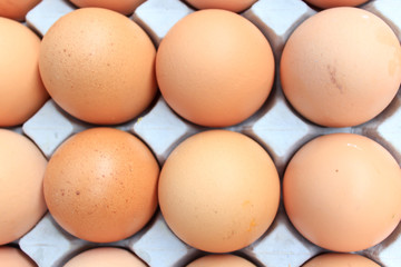 eggs in the package