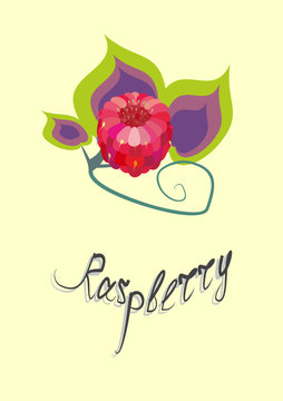 raspberry