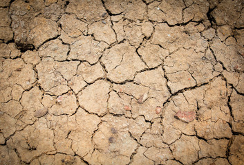 Closeup of dry soil.
