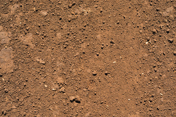 Brown ground surface