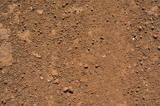 Brown ground surface