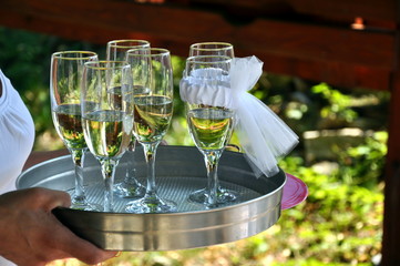 wedding toast