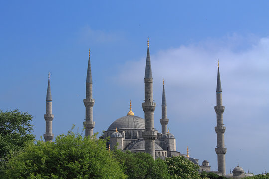 beautiful minarets on background of green trees
