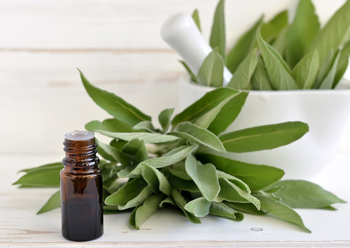 Sage Oil