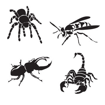 Vector set of insect silhouettes isolated on white