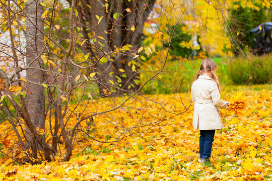 Little girl outdoors on autumn day