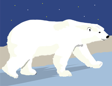Polar Bear with Background