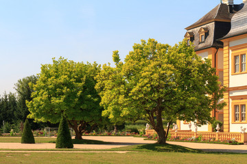 Chateau Veitshoechheim © andiz275