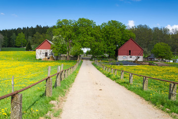 Spring road to the Swedish farm