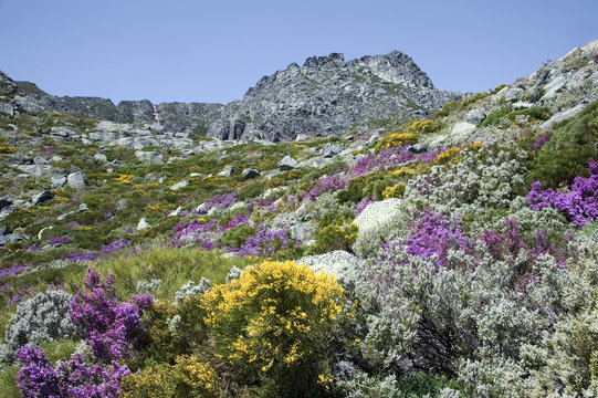 Serra da Estrela, protected National Park in Portugal