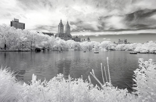Fototapeta Infrared image of the Central Park