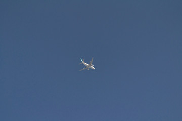 Plane