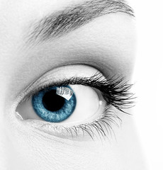 Close-up macro image of human eye