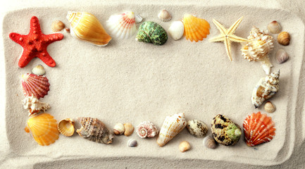Frame made of shells on a sand with a copy space for text