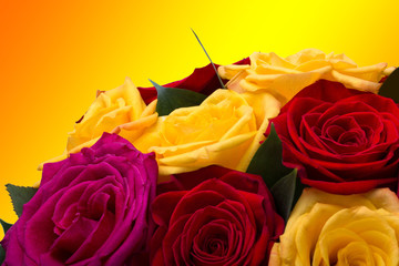 colorful roses bouquet with a colorful background