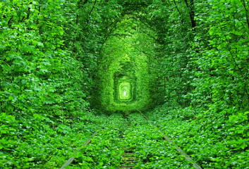 Abandoned railway tracks in forest, green tunnel