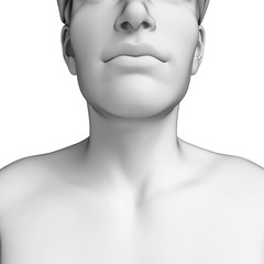 Male nake anatomy artwork