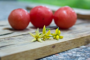 tomato on wood