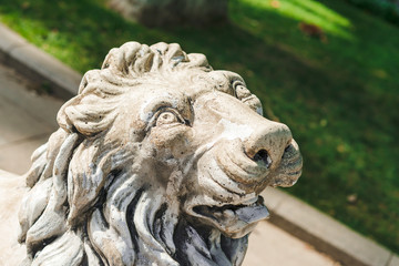Naklejka premium Lion face in Gulhane Park, Istanbul