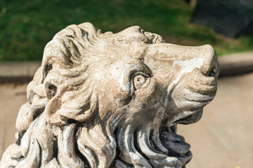 Lions face  in Gulhane Park, Istanbul