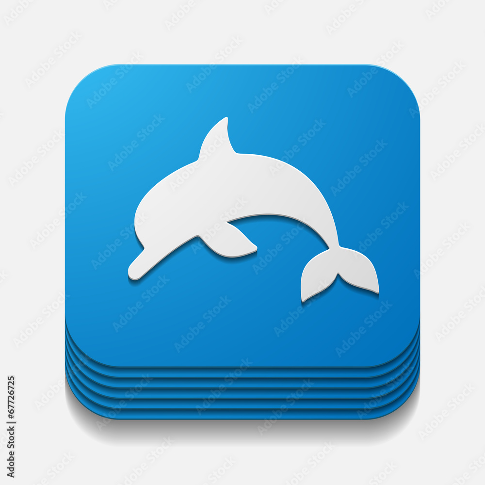 Canvas Prints square button: dolphin