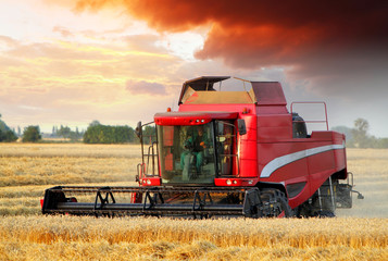 Wheat field with Harvester machine at sunset