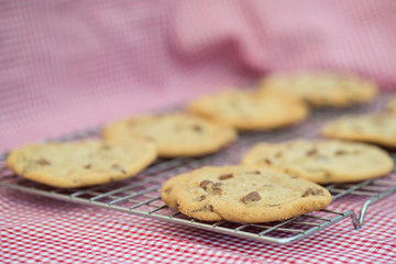 Beautiful fresh hand made chocolate chip cookies