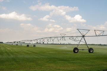 Self-propelled sprinkler installation waters mowed lawn