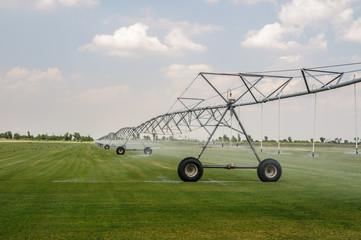 Self-propelled sprinkler installation waters mowed lawn