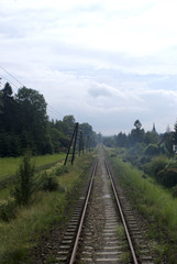 tory © Henryk Olszewski