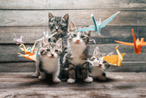 Portrait of cute little kitten among origami bows 
